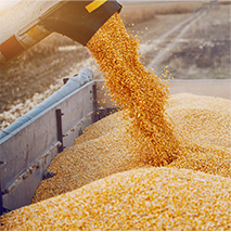 Grain Handling Products